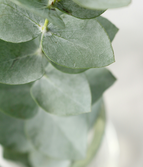 green_flower